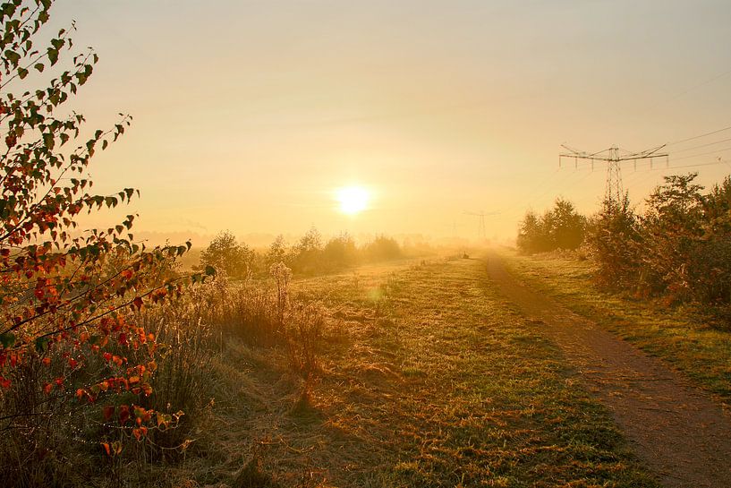 Herfstdag met zonsopkomst en ochtendmist by Saskia Smulders
