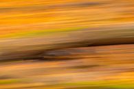 Herfstkleuren van Hans Stuurman thumbnail