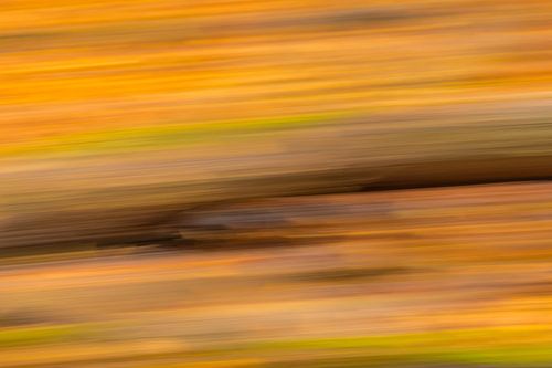 Couleurs d'automne