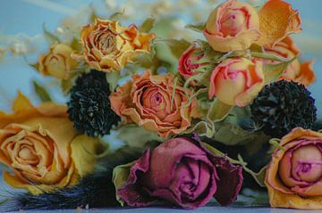 Rosen zartgelb und rosa von Niek Traas