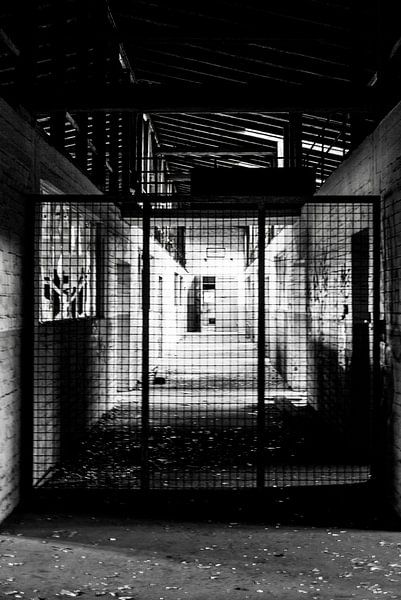 The barred camp by Norbert Sülzner