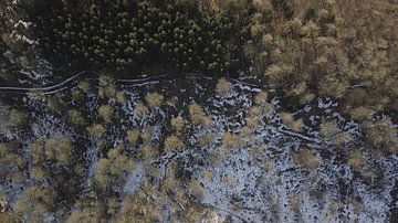 Drone-beeld van een dooiend boslandschap van Adrian Meixner