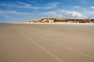 Scène de plage avec des dunes de sable en arrière-plan