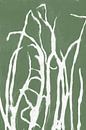 Wit gras in retrostijl. Moderne botanische minimalistische kunst in wit en groen van Dina Dankers thumbnail