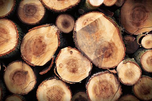 Couverture avec capuchons