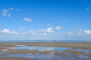 Chevaux sur la plage