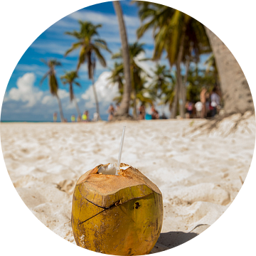 Kokosnoot op het strand van Saona (Dominicaanse Republiek)