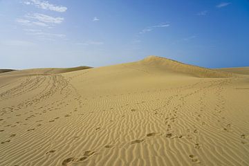 Dunes de sable sur Nicole