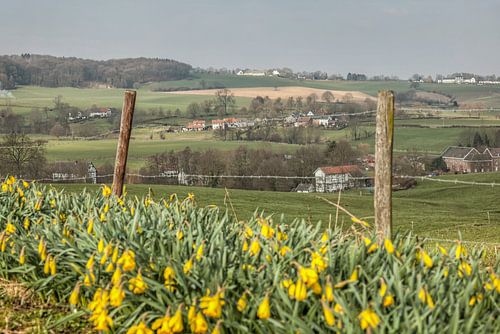 Voorjaar in de omgeving van Epen