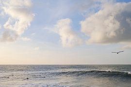 Surfers in search of waves by Tim als fotograaf