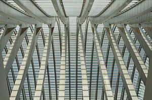 Linien auf dem Dach des Bahnhofs von Lüttich-Guillemins
