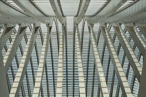 lijnen in het dak van treinstation Luik Guillemins