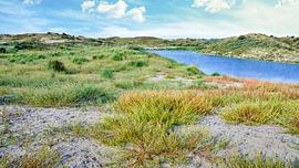 Lac de dunes dans la zone de dunes Berkheide Dunes hollandaises sur eric van der eijkj