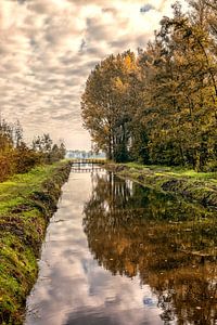 Herbst im Alblasserbos von Rob van der Teen