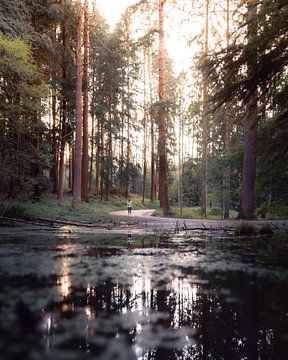 Teich im Wald von Rob Uyttenbroeck