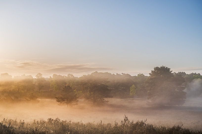 Fine Art landschap van een mistige zonsopkomst op de heide van John van de Gazelle fotografie