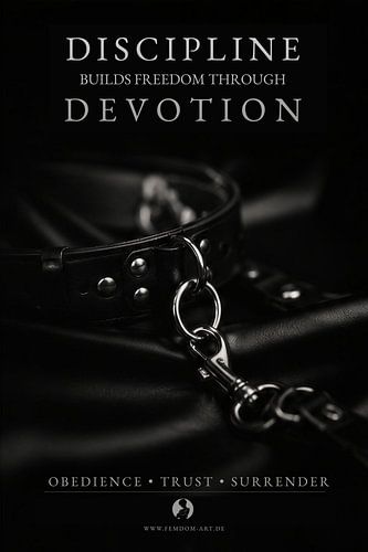 Discipline Through Devotion – De esthetiek van vertrouwen