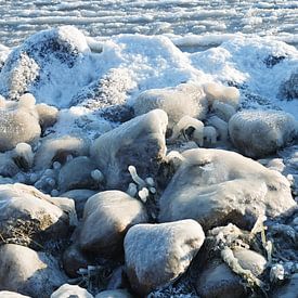 Lake shore in winter by Bo Valentino