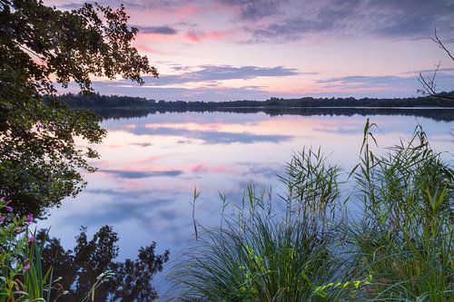 Groningen - Piccardthofplas (Netherlands)