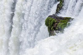 Power and pure nature at Garganta del Diablo, Iguazú. by Ron Van Rutten