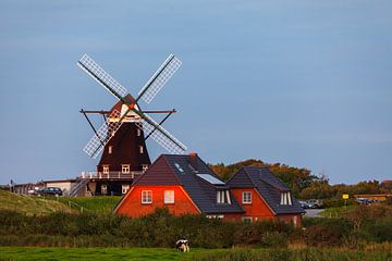Die historische Windmühle auf Pellworm von Roland Brack