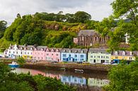 Colorful houses in Portree by Henk Meijer Photography thumbnail