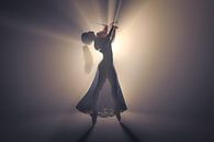 Violin playing in the light by Arjen Roos thumbnail