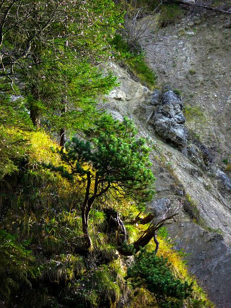 Grüner Fleck in den Bergen von Matthias Spartz
