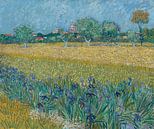 Feld mit Blumen in der Nähe von Arles - Vincent van Gogh von 1000 Schilderijen Miniaturansicht
