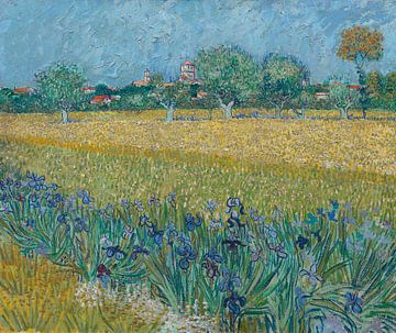 Feld mit Blumen in der Nähe von Arles - Vincent van Gogh