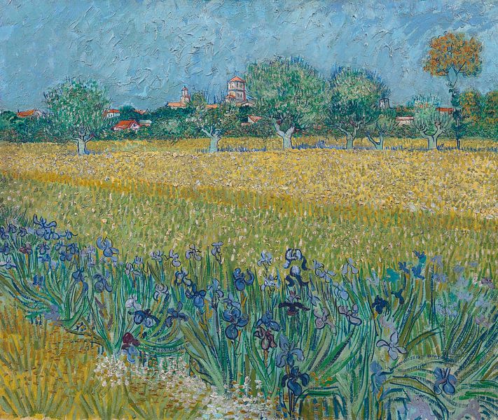 Vincent van Gogh. Champ avec des fleurs près d'Arles par 1000 Schilderijen