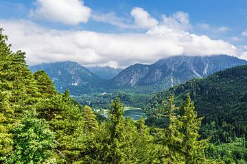Vue du Kalvarienberg sur le lac Schwansee près de Füssen dans l'Allgäu