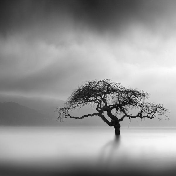 Illustration des rêves par George Digalakis