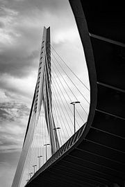 Erasmusbrug van Nikita Sukhinin