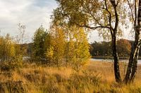 Herfst 