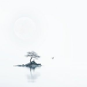 Einsame Insel unter dem Mond
