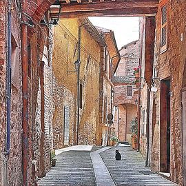 Inside The Town Walls Panicale 2 by Dorothy Berry-Lound