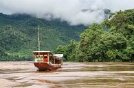 Kreuzfahrtschiff auf dem Mekong-Fluss von Erwin Blekkenhorst Miniaturansicht
