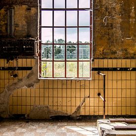 Fenster einer alten, baufälligen Fabrik von SRF