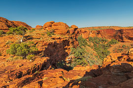 Kings Canyon von Markus Lange