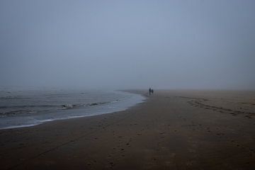Wandeling in Mist van Sebastian Stef