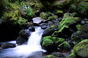 Dromerige waterval in het bos van Byroosmarijn