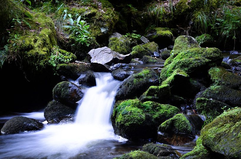Dreamy waterfall in the forest by Byroosmarijn