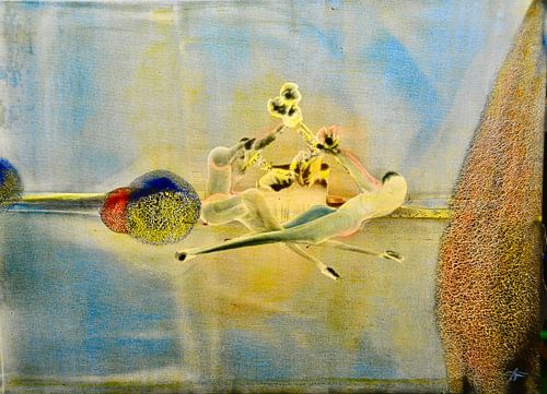 Streit um die letzte Blume