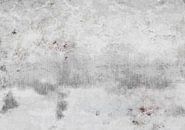 Gentle winter by Mad Dog Art thumbnail