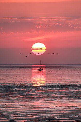 UNESCO World Heritage Site .......... Wadden Sea
