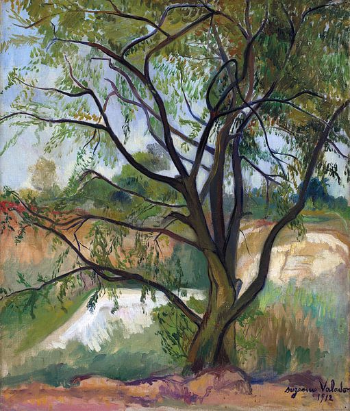 Der Baum, Suzanne Valadon, 1912 von Atelier Liesjes