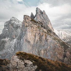 Seceda | Dolomites | Italie | photographie de voyage