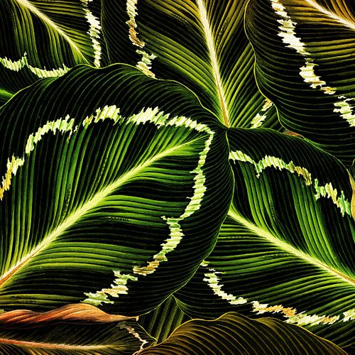 TROPISCH GROEN-GOUDIG BLAD-2