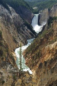 Yellowstone - Wyoming (USA) sur Edwin van Amstel